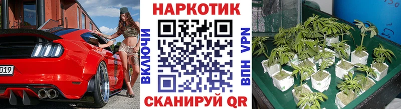 Где можно купить наркотики Горно-Алтайск COCAIN А ПВП АМФ Канабис