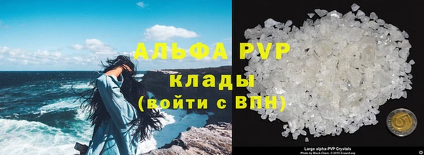 стафф Ахтубинск