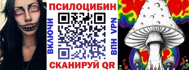 Псилоцибиновые грибы Psilocybine cubensis  Горно-Алтайск 